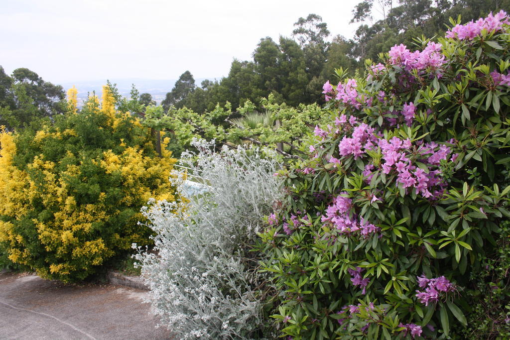 Quinta Das Leiras Santo Tirso Esterno foto