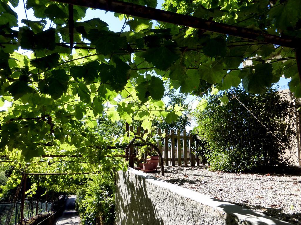 Quinta Das Leiras Santo Tirso Esterno foto