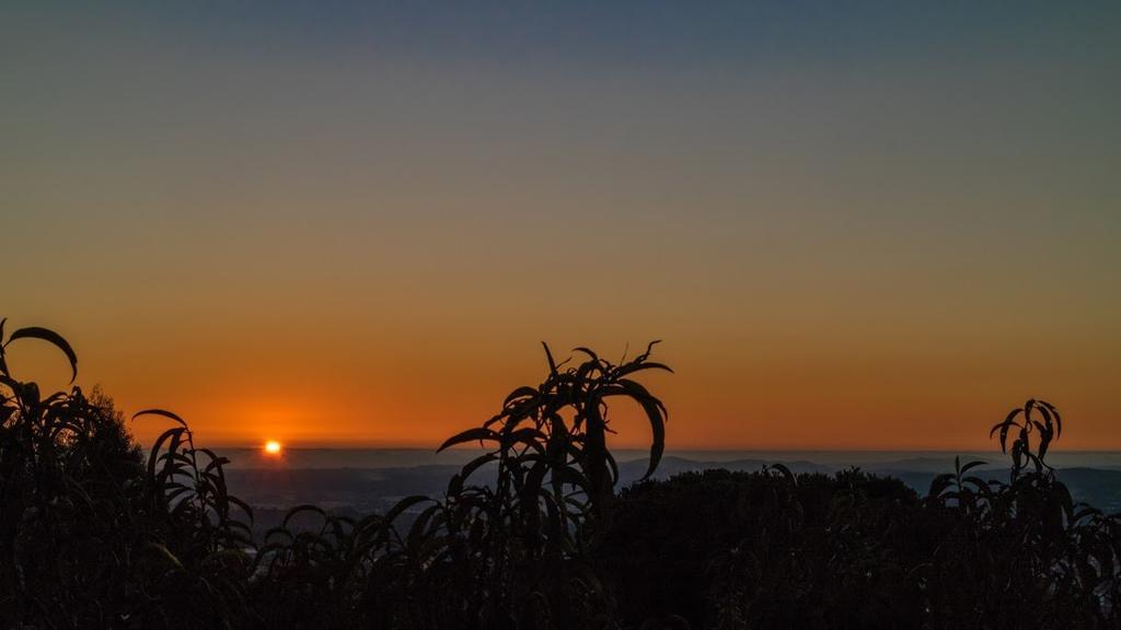 Quinta Das Leiras Santo Tirso Esterno foto